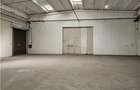 Spatiu Industrial - 4500 mp - Productie - Depozitare - Distributie - 19