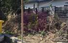 TEREN 308 MP CU CONSTRUCTIE EXISTENTA –  SECTOR 5 zona Rahova - 11