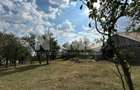 Casa Bătrânească + Teren 25 Ari | Horodniceni/Suceava I 44.000Euro - 4