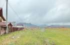 Teren Constructie Casa - 1