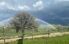 Teren intravilan 18.000 mp în satul Peștera, comuna Moieciu, jud. Brașov