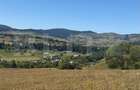 Teren extravilan,  5 hectare, Șaru Dornei - 2