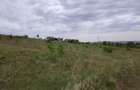Teren intravilan 1800 mp, Centura-Ciurbesti-dubla deschidere - 7