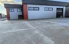 Inchiriere depozit/hala/spatiu industrial Domnesti - Centura - 4