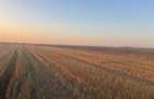 Teren extravilan, 5000 mp, zona Malu Mare - 1