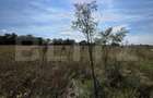 Teren de vanzare, 4 hectare, zona Exterior Vest - 3