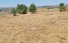 Palazu Mare, teren 406mp - 2