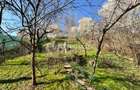 Duplex de vânzare – Zona Victor Babes, TBC, Baia Mare - 7