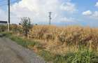 Exclusivitate | Teren intravilan 9.100 mp | Valu lui Traian - 6