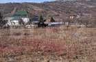 Teren intravilan de vanzare, 860 mp, cu toate utilitatile, zona Podgoria - 4