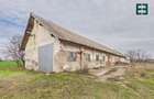 Teren de 8.632 mp + Proprietate Industrială - Voiteg - Județul Timiș - 22