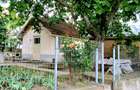 Seimenii Mari Casa 5 camere S.teren:4260 +vie+pomi fructiferi  vedere la Dunare - 9