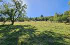 Teren intravilan, 21.000 mp, Zona Intre Barse, spre Plaiul Foii, Zarnesti