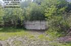 Teren 2000 mp, str.Nicu Albu, cadru natural superb - 1