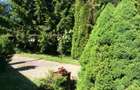 Proprietate de Vânzare în Brebu Nou-Ideală pentru Casă de Vacanță sau Investitie - 13