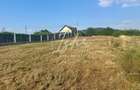 Teren intravilan pentru casa in Talmaciu - 10