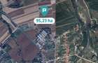 Teren extravilan 95.23 ha lângă Caransebeș - 5