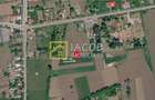 Pachet rural: apartament + bucatarie de vara + boxa+ 2.500 mp teren, Damienesti - 6