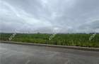 Teren intravilat de 36122 mp cu PUZ situat in zona Industriala Vest - 5