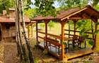 Poiană privată, pădure și cabană | Proprietate cu potențial turistic - 3