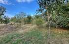 Casa de vanzare, 3 camere, 105 mp, teren 2.327 mp, zona Bucerdea Granoasa - 6