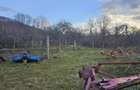 Casă cu 4 camere, suprafață 110 mp + teren 2.200 mp, Vărzarii de Jos - 10