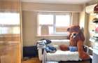 Dorobanti ASE apartament 3 camere de vanzare