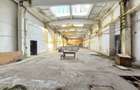 Platforma Industriala-8 ha -Fabrica-Hale Productie-21.500 mp - 16