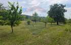 Casă cu livadă, 4 camere din cărămidă, de vânzare în zona Bratca-Damiș - 43