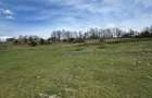 Teren intravilan 1.17ha cu panoramă superbă și PUZ aprobat – Baia Sprie - 5