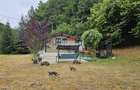 Căsuță de vacanță de vânzare – comuna Alexandru cel Bun, Neamț - 2