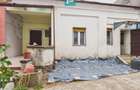 Casa 3 camere Cantemir - 5