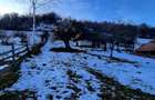 Teren intravilan Simon/Bran, 4318 mp , casuta intabulata, utilitati - 9