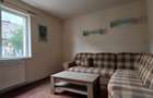 Casă individuală, 1555 euro/mp, 225 mp utili, zona Oașului - 5