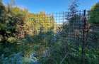 Teren Intravilan Unic pe Malul Lacului Snagov – Ideal pentru Cabana Ta - 5
