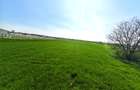 Teren intravilan | Dragomiresti Vale | Sat Zurbaua IF | INVESTITIE - 4