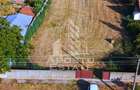 Teren intravilan de vanzare la Foeni, 13200 mp, front 24 m, Timis - 1