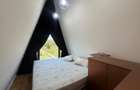 Proprietate exclusivista || A FRAME si CURTE 1425 MP +PISCINA || GRADISTEA IF - 4