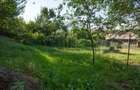 Casă individuală cu teren generos 1.400 mp | Sfântu Gheorghe - 8
