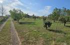 Teren cu cabanuta de lemn in Zaicesti - 10