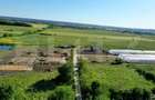 Teren EV și IV cu casă, 29.600 mp, utilități și acces facil, Albești - 6
