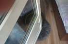 De inchiriat apartament 2 camere RACADAU - 16