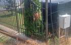 TEREN intravilan  Balciu - MIROSLAVA , 709 MP, 77.990 EURO