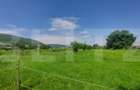 Casa + teren intravil, 3.6 ha I Zagon I Potential turistic si investitional - 10