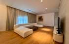 Vilă Premium  în Iancu Nicolae-6 camere-utilata si mobilata-locatie excelenta - 4