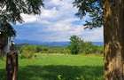 Bughea de Jos-Imparatia Mlacilor, teren de vanzare, 3000 mp, 27 ml deschidere - 6