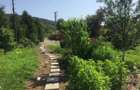 Teren intravilan, 4500 mp, casa de vacanta, in Baciu, zona Sun Garden - 1