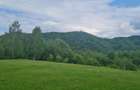 FILM! Oaza paradisiaca cu lac, vedere catre Bucegi, Glajerie/ Rasnov, pretabil C - 21