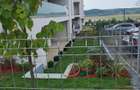 Apartment lux amenajat cu gradina proprie 3 cam Valea Lupului - 1