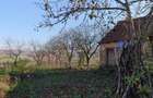 Vand teren in Santelec - 1